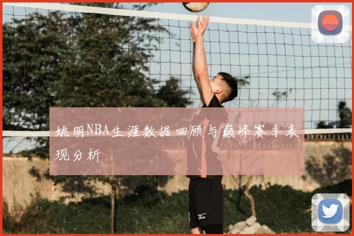 姚明NBA生涯数据回顾与巅峰赛季表现分析