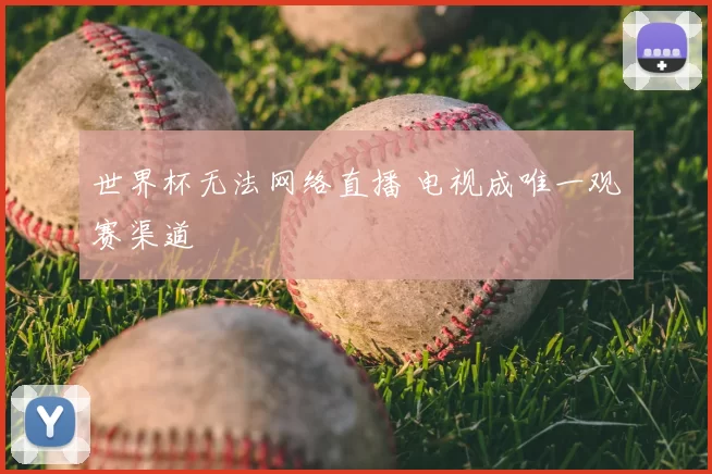 世界杯无法网络直播 电视成唯一观赛渠道