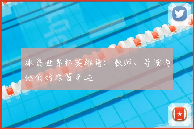 冰岛世界杯英雄谱：教师、导演与他们的绿茵奇迹