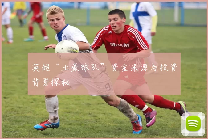 英超“土豪球队”资金来源与投资背景探秘