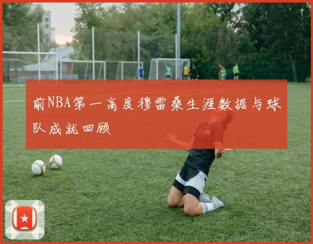 前NBA第一高度穆雷桑生涯数据与球队成就回顾