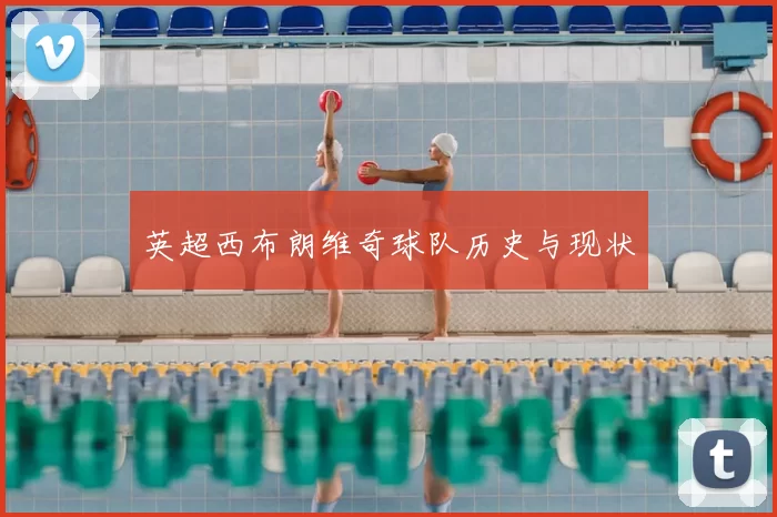 英超西布朗维奇球队历史与现状