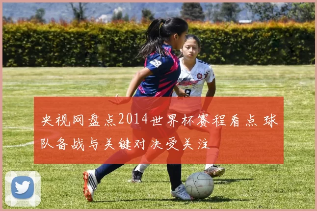央视网盘点2014世界杯赛程看点 球队备战与关键对决受关注