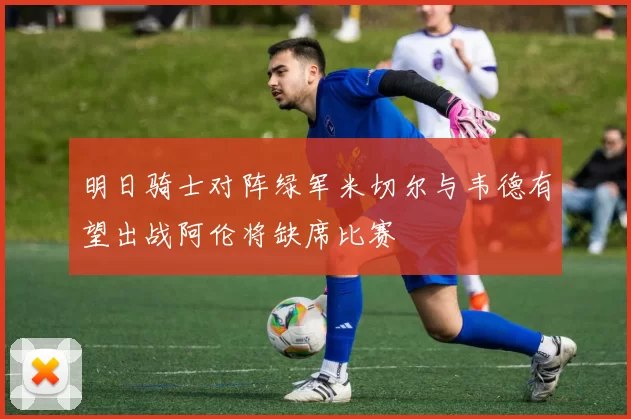 明日骑士对阵绿军米切尔与韦德有望出战阿伦将缺席比赛