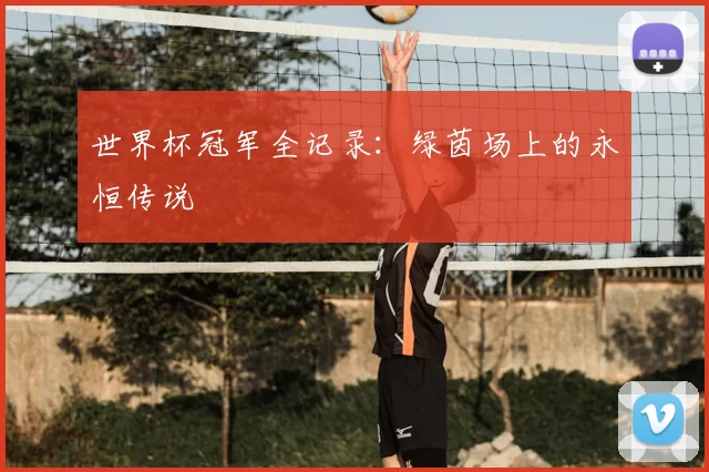 世界杯冠军全记录：绿茵场上的永恒传说