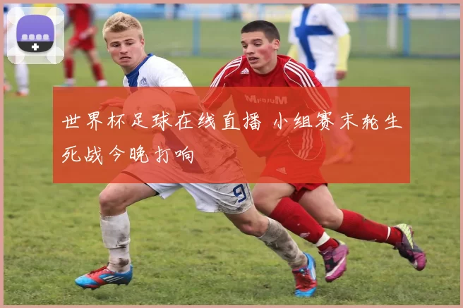 世界杯足球在线直播 小组赛末轮生死战今晚打响