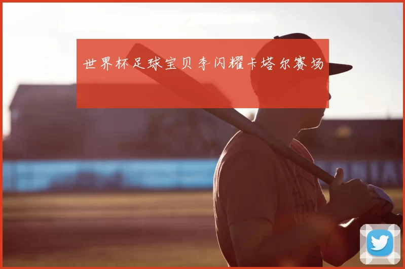 世界杯足球宝贝李闪耀卡塔尔赛场