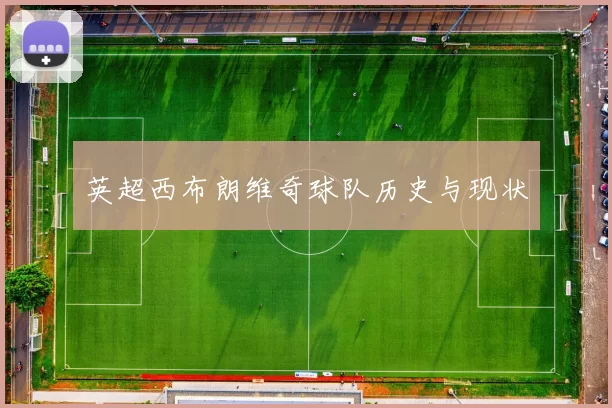 英超西布朗维奇球队历史与现状
