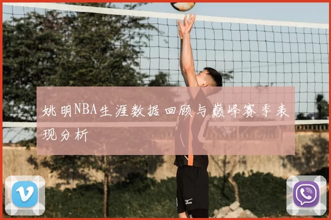 姚明NBA生涯数据回顾与巅峰赛季表现分析