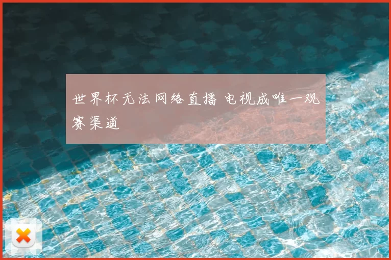 世界杯无法网络直播 电视成唯一观赛渠道