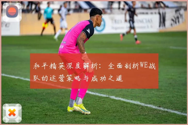 和平精英深度解析:全面剖析WE战队的运营策略与成功之道