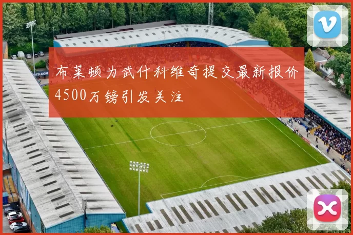 布莱顿为武什科维奇提交最新报价4500万镑引发关注