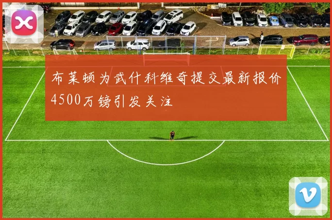 布莱顿为武什科维奇提交最新报价4500万镑引发关注